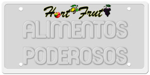 placa-logo-111